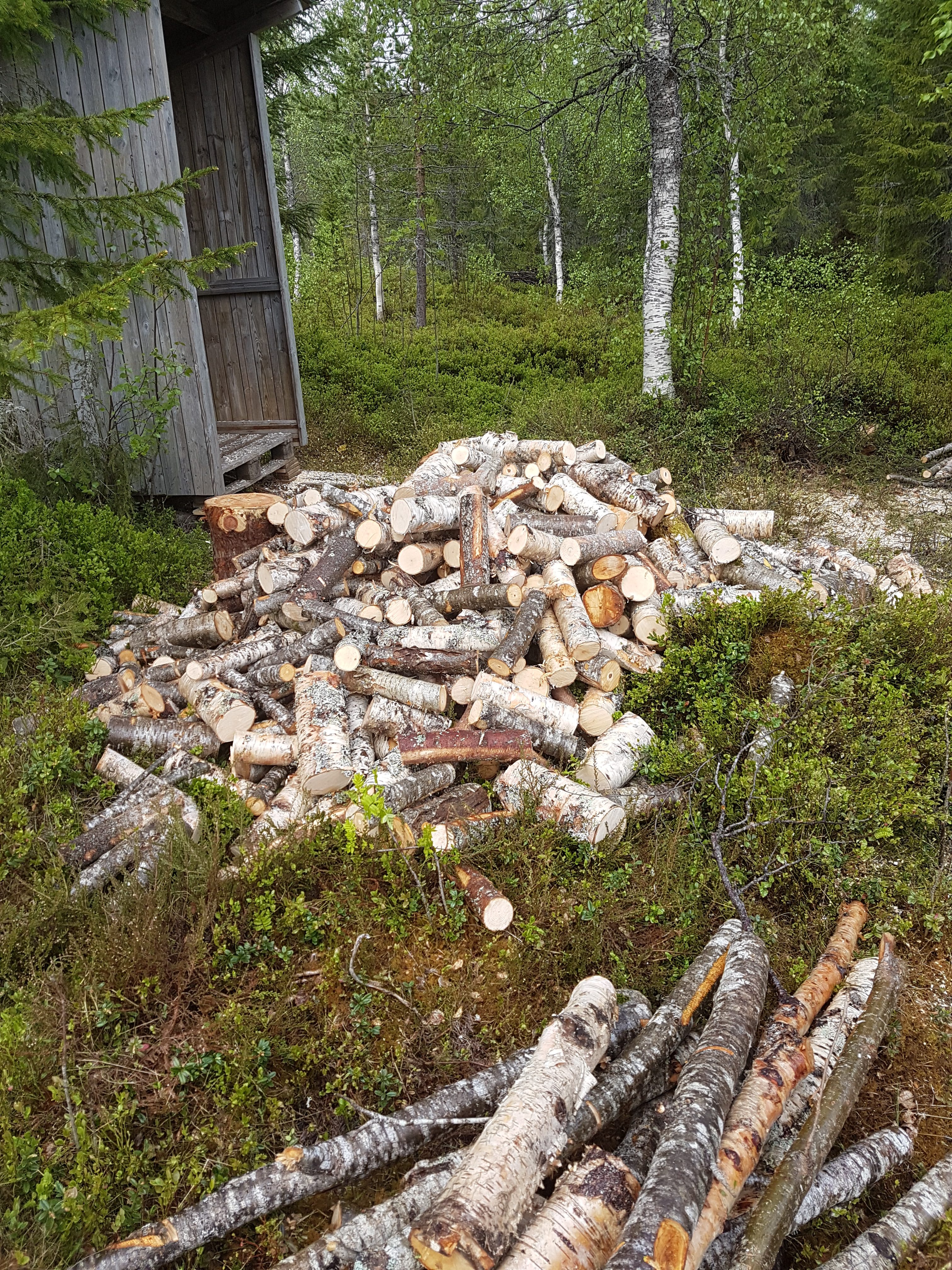 Dugnad Grantangen og Liljebukta